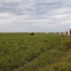 Meet your Posher, Clinton